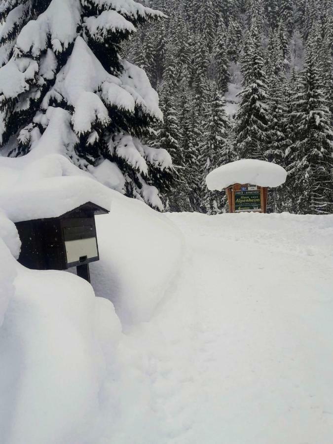 Haus Alpenheim Hotel Flachau Bagian luar foto